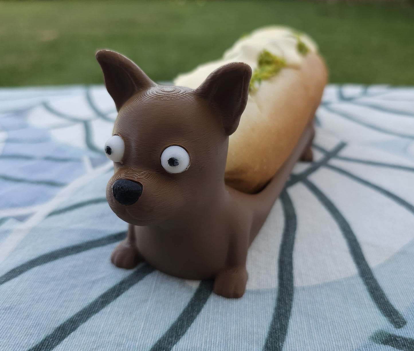 Chihuahua porta completo